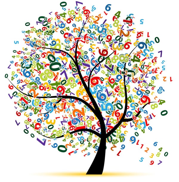 Нумерология по дате рождения дерево чисел
